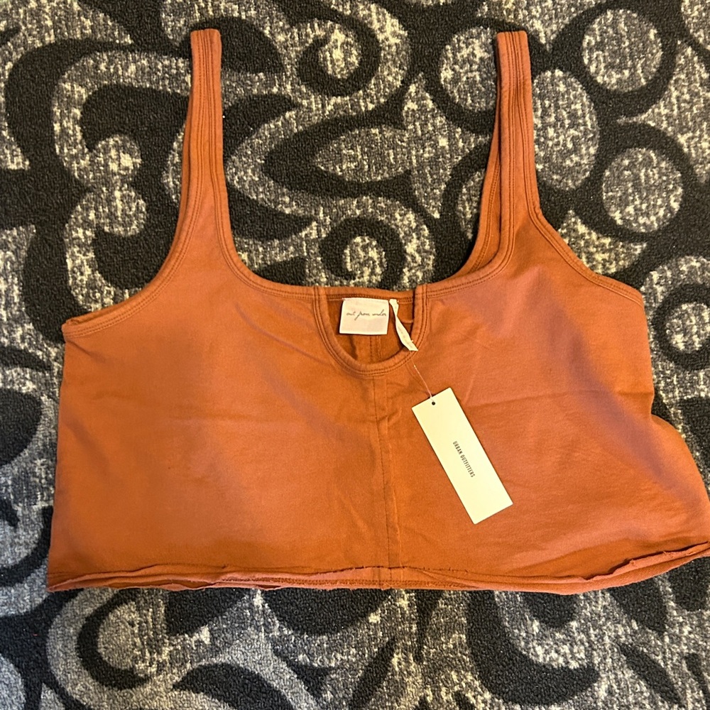 NWT Urban Outfitters Terracotta Crop Tee - size l